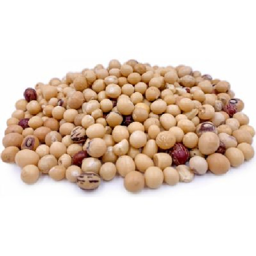 Image of organic Jugo (Bambara) beans, a nutritious bean with many health benefits.